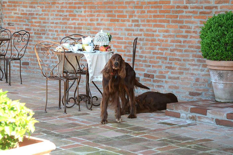 Tenuta Degli Angeli Rossi Asti Ngoại thất bức ảnh